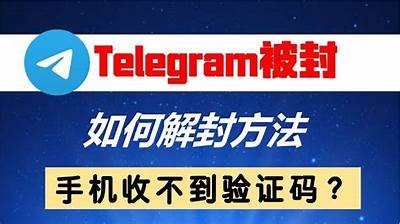 《天龙私服GM封停我的IP，如何解决此障碍？》